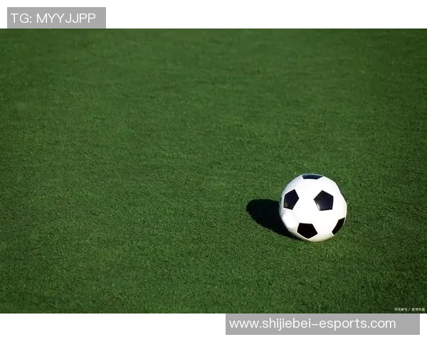 足球巨星炫酷壁纸摇摆展现绿茵激情点燃青春梦想